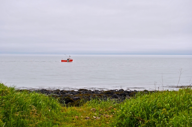 Fundy Ocean Research Center for Energy (FORCE) Test Site